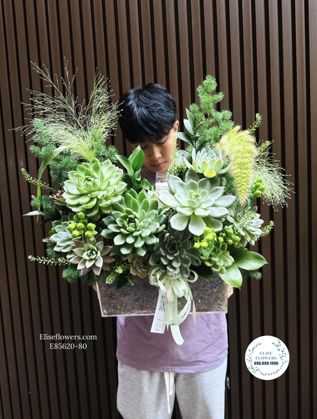 Lẵng hoa sen đá tặng sinh nhật ở Hà Nội | Elise Flowers