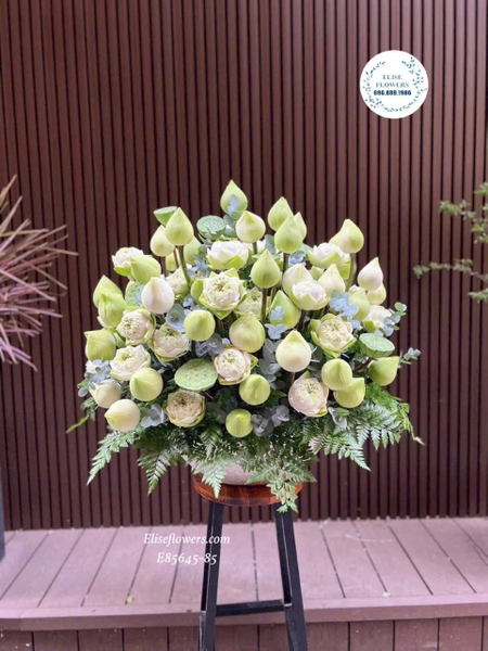 Hoa Sen Trắng Cao Cấp Tại Hà Nội - Elise Flowers