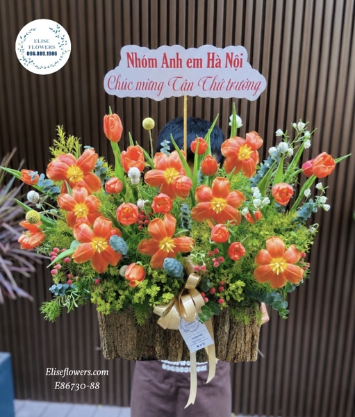 Lẵng Hoa Tulip Cam Tặng Sếp Lên Chức. Hoa tặng sếp lên chức đẹp tại Hà Nội. Elise Flowers