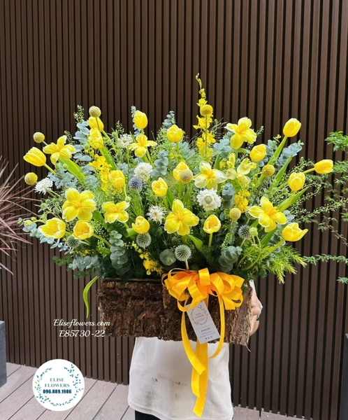 Mua hoa tulip Hà Nội. Đặt mua hoa tullip vàng ở Hà Nội . Elise Flowers