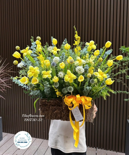 Lẵng hoa tulip vàng nhập khẩu ở Hà Nội. Elise Flowers