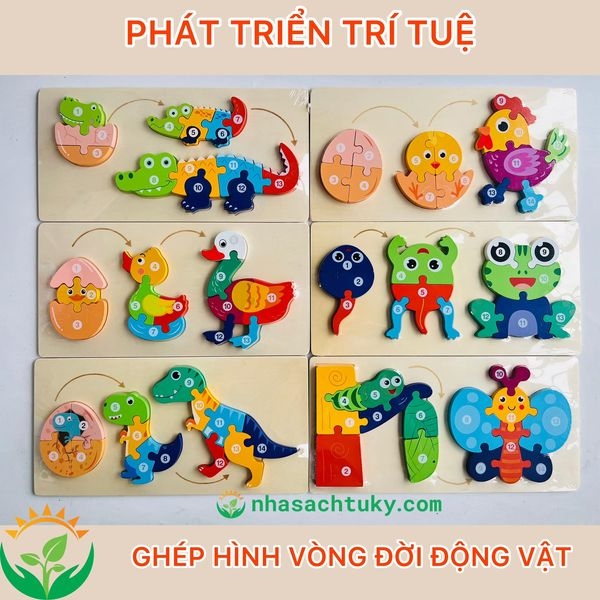 bang-go-ghep-hinh-vong-doi-sinh-truong-15x30cm
