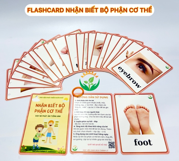 flashcard-bo-phan-co-the-tieng-anh