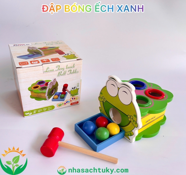 dap-bong-hinh-ech