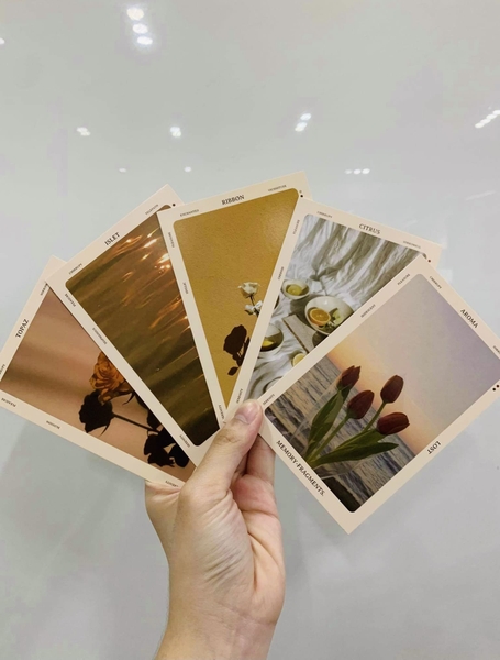 Set 5 Tấm Postcard Trang Trí