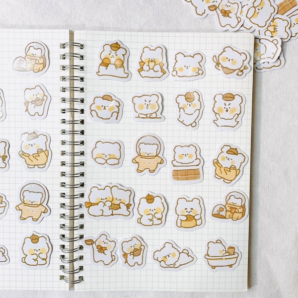 Túi 40 Sticker Gấu