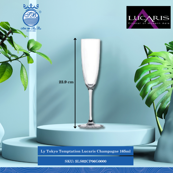 Ly Champagne Tokyo Temptation 165ml Cao: 22.9cm 24 Cái/Thùng 6 Cái/Hộp Ocean Thủy Tinh 5LS02CP06G0000