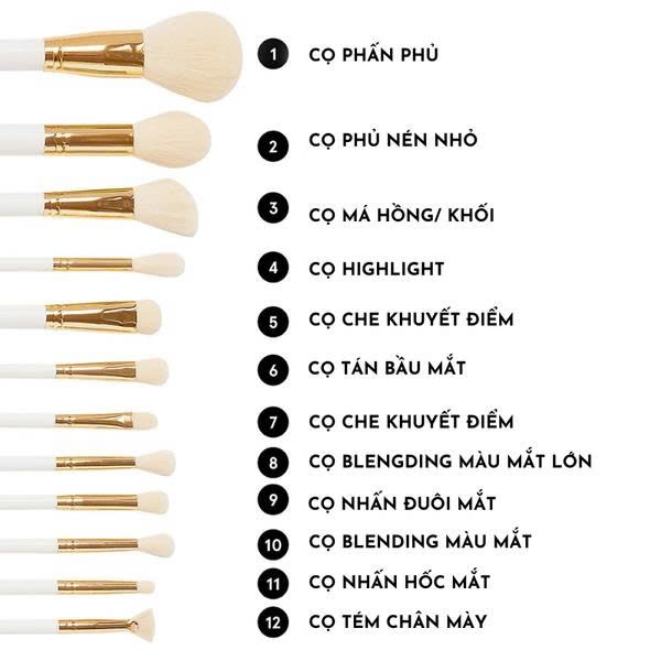 Bộ cọ bh cosmetics