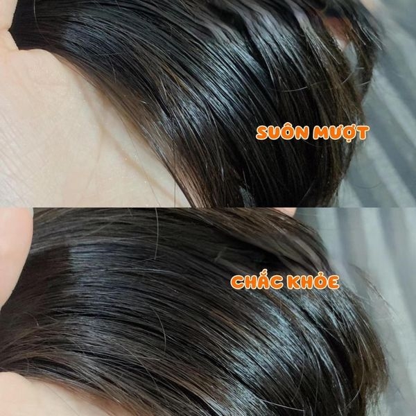 Dầu dưỡng tóc L'Oreal Paris Elseve Oil Extra Gold 100ml