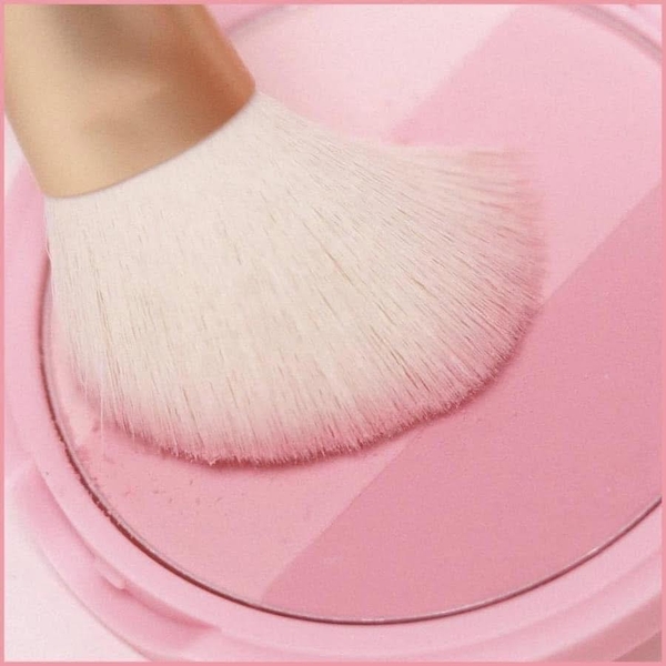 Phấn Má Hồng Too Cool For School Artclass By Rodin Blusher