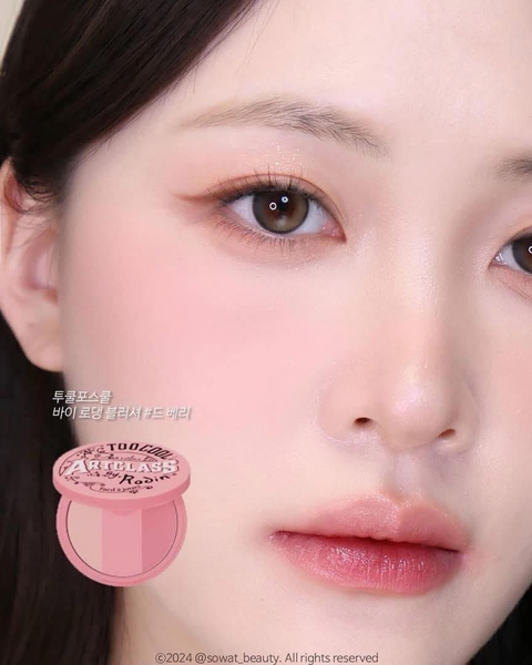 Phấn Má Hồng Too Cool For School Artclass By Rodin Blusher