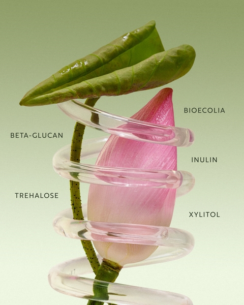 Nước tẩy trang Cocoon sen Hậu Giang