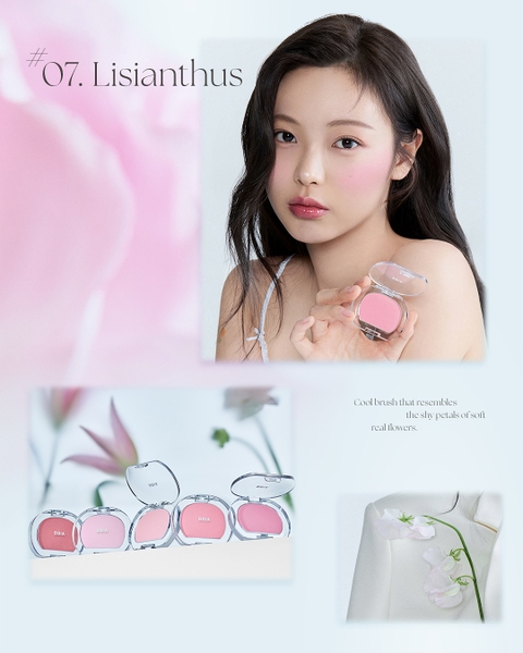 Phấn Má Hồng BBIA Last Blush
