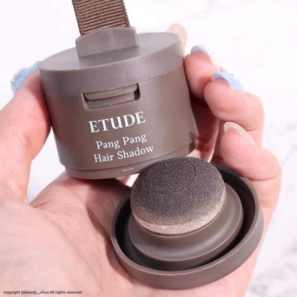 Phấn Che Khuyết Điểm Tóc Etude House Pang Pang Hair Shadow