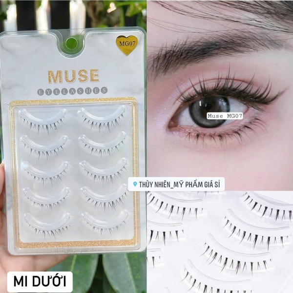 Mi Giả Gân Trong Muse