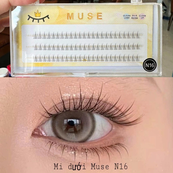 Mi Giả Gân Trong Muse
