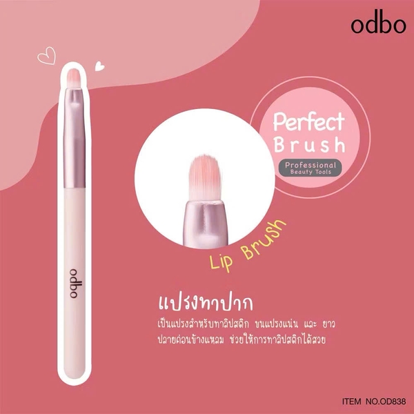 Bộ cọ 4 cây ODBO Perfect Brush