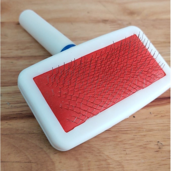 luoc-chai-long-cho-meo-dau-bi-va-dau-kim-danh-xu-long-go-roi-long-ipet-shop-dau-