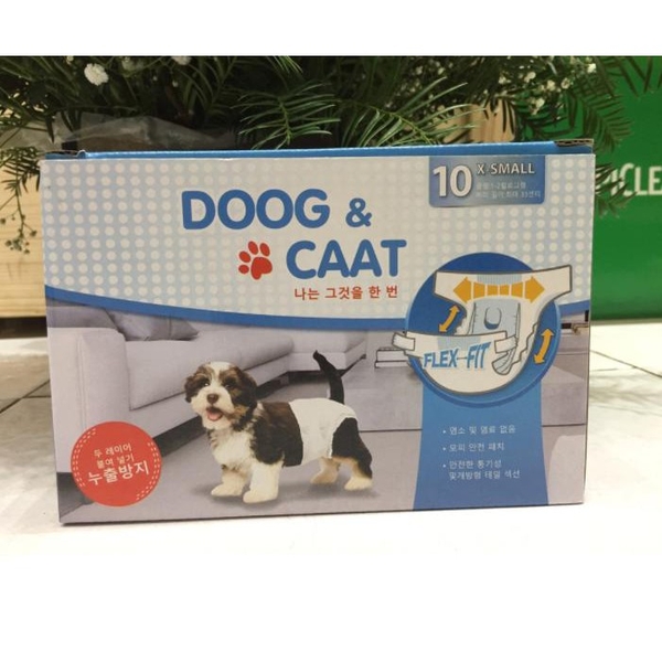 ta-quan-cho-cai-doog-caat-le-1-cai-ipet-shop