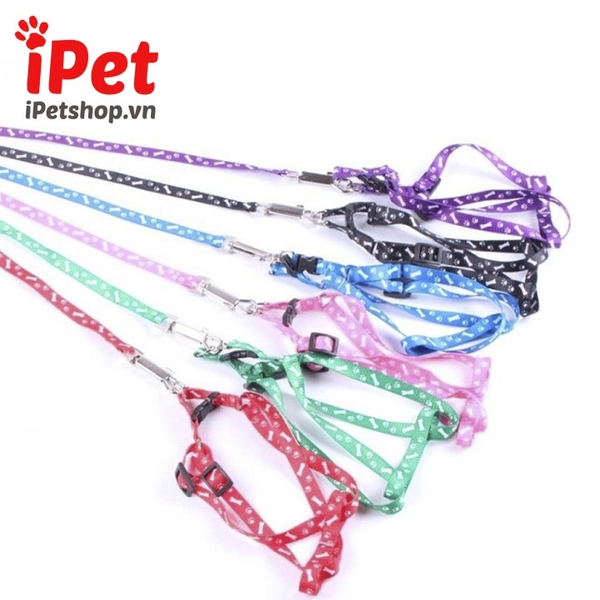 day-dat-kem-vong-co-yem-cho-cho-meo-tu-5-10kg-ipet-shop