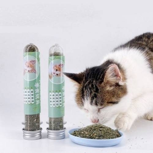 Ống Cỏ Bạc Hà Catnip MIAO Cho Mèo Chơi - iPet Shop ipetshop.vn Ống Cỏ Bạc Hà Catnip Miao Cho Mèo Chơi - Ipet Shop Ipetshop.Vn
