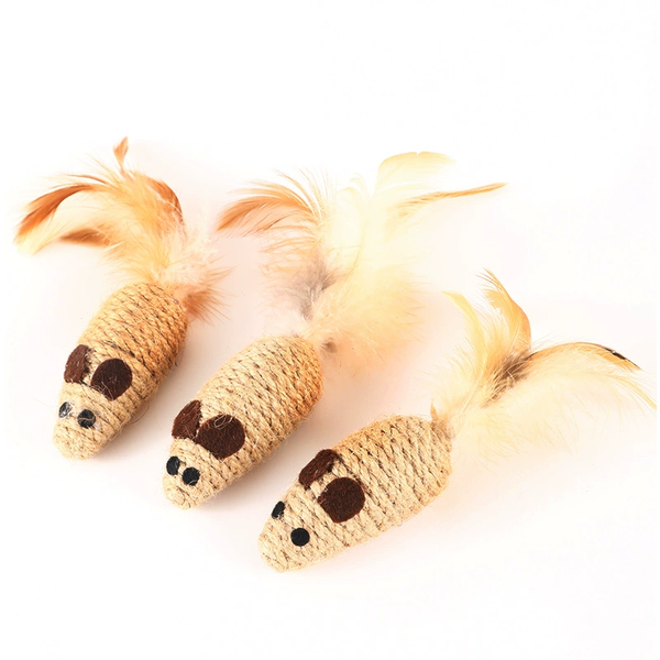 chuot-day-thung-long-vu-tron-khong-mau-ipet-shop