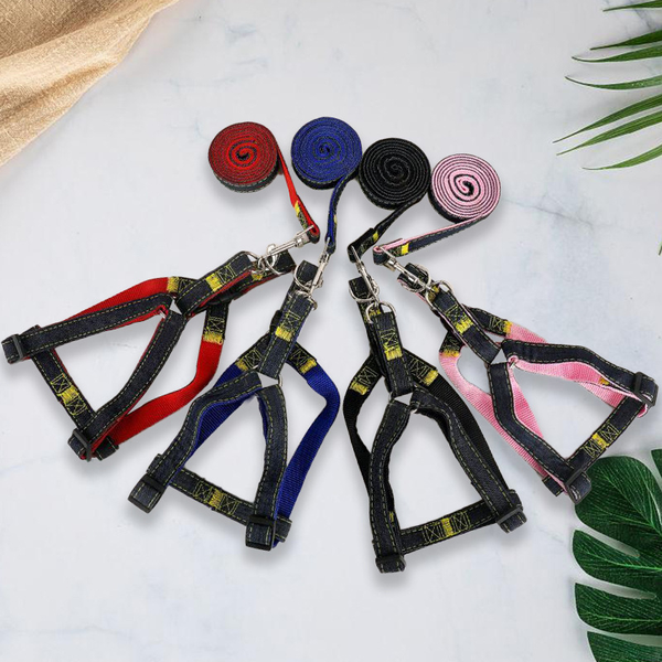 day-dat-yem-dai-nguoi-denim-danh-cho-thu-cung-ipet-shop