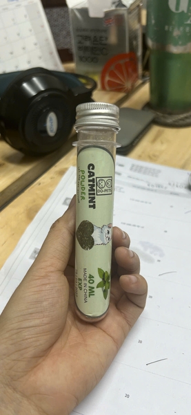 ong-co-meo-catmint-ipet-shop