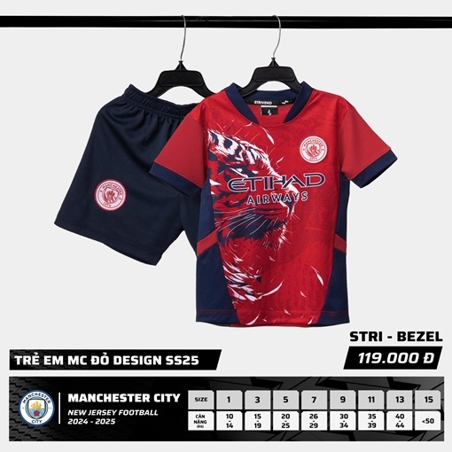 Quần Áo Bóng Đá Trẻ Em Strivend Manchester City 2024/2025 