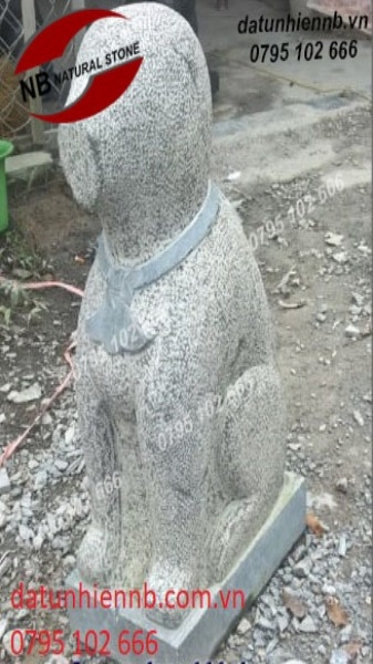 cho-da-05