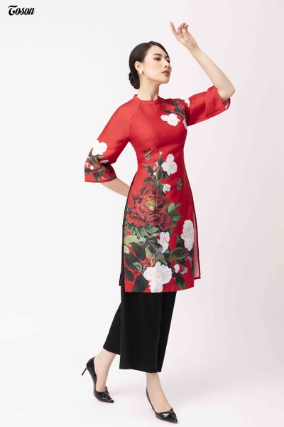 họa tiết trang trí áo dài
