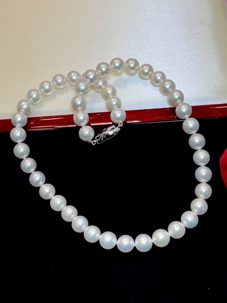 Best pearl shop in Ho Chi Minh City for travelers 🤍