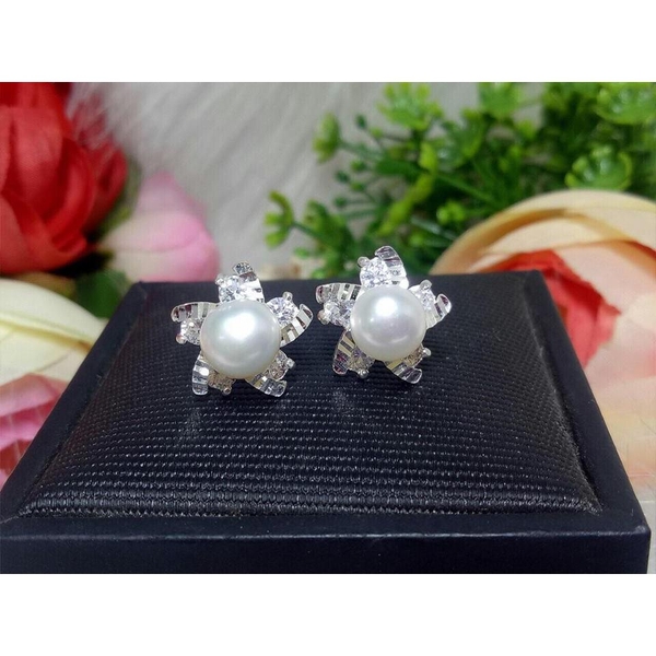 HOA TAI NGỌC TRAI 5 CÁNH DUYÊN DÁNG