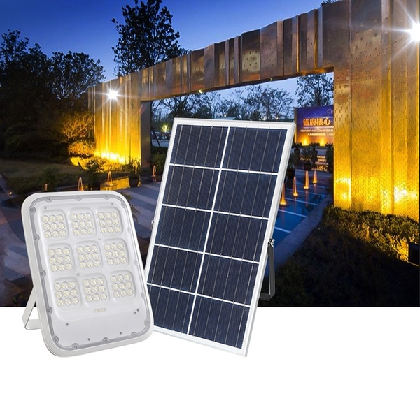 Đèn pha năng lượng mặt trời mắt mèo 100W DP8100