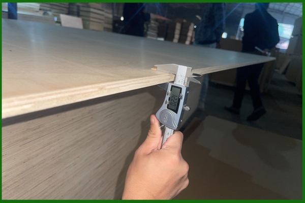 CHECK BIRCH PLYWOOD