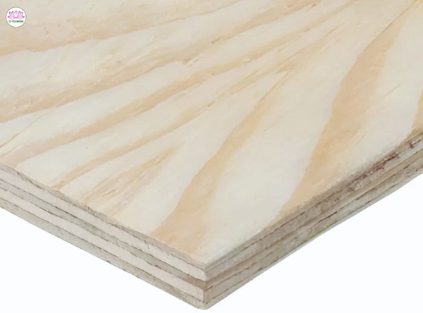 pine-plywood