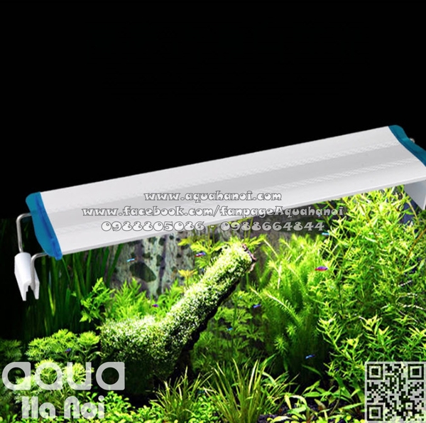 Đèn LED gác thành hồ cá cảnh thủy sinh QUANLONG QL-80A - 3 hàng bóng - siêu sáng trắng - dài 80 cm