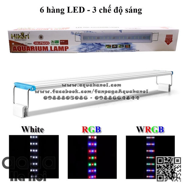 Đèn LED hồ cá thủy sinh WRGB Hiraki HKP 600 - 6 hàng bóng - dài 50 cm - Đổi 3 chế dộ màu