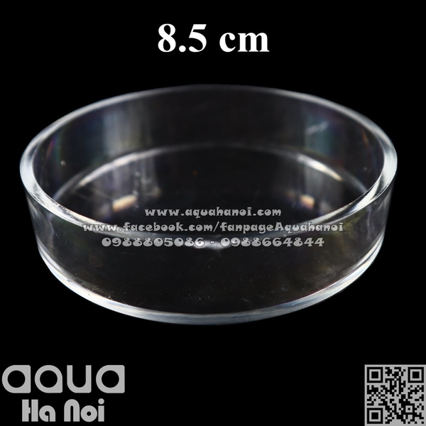 Chén đĩa Acrylic cho cá tép ăn - Tròn - 6.5 cm