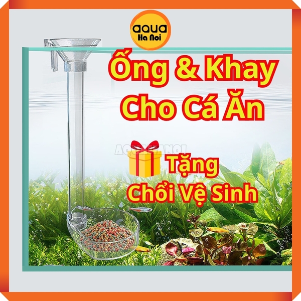 Bộ ống kèm khay đĩa đựng thức ăn cho cá tép Acrylic - 22cm - Tặng kèm chổi vệ sinh