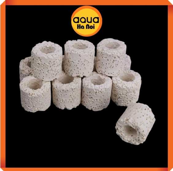 Sứ trụ trắng mặt rỗ  - Vật liệu lọc làm trong nước hồ cá Koi, cá rồng, thủy sinh