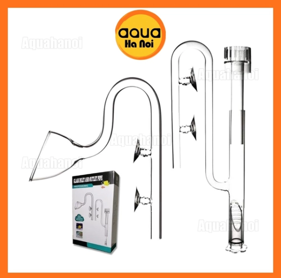 Combo In váng + Out loe - Hộp xanh