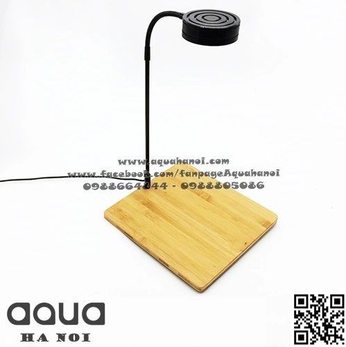 Đèn LED rời (dùng gắn đế gỗ kê hồ thủy sinh, tiểu cảnh) màu đen - sáng trắng