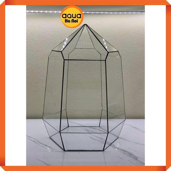 Bể kính đa giác terrarium, bình thủy tinh tiểu cảnh bán cạn - Viền silicon - Mẫu D-12 size L (26*26*36 cm)