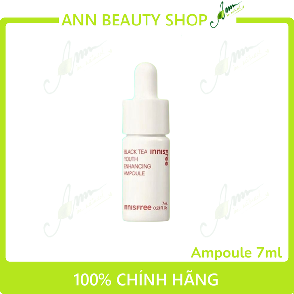 Kit dùng thử ngăn ngừa lão hóa trà đen Innisfree Black Tea Ampoule & Cream Kit