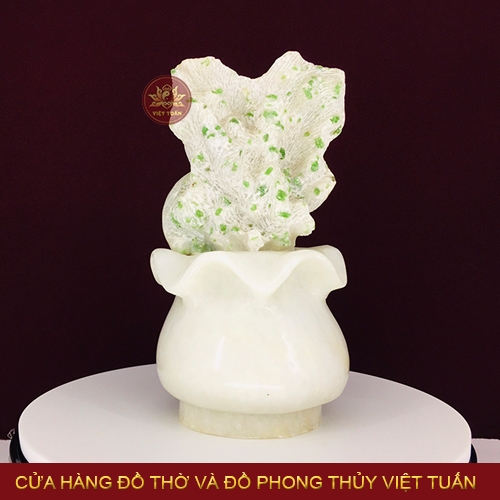 Cây đá ngọc lục bảo xanh