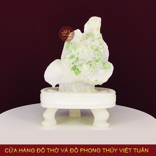 Cây đá ngọc lục bảo xanh