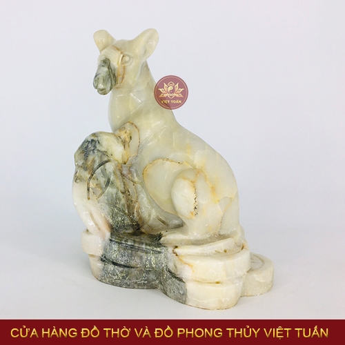 Chuột đá