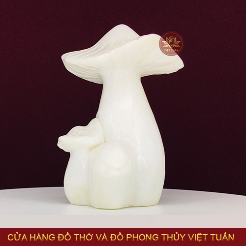 Nấm đá