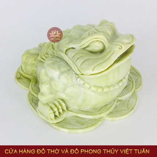 Thiềm thừ đá
